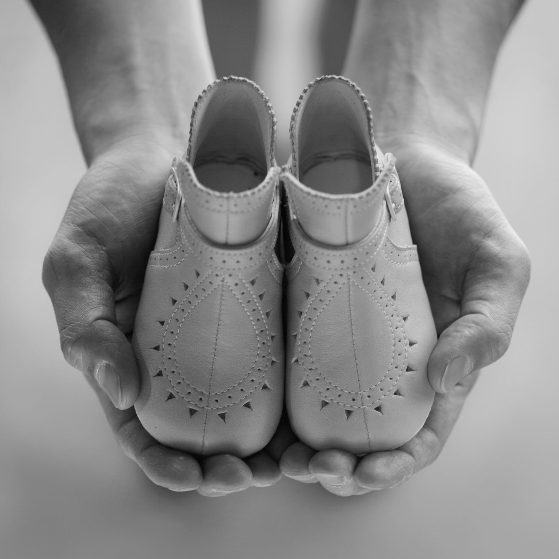 サンフラワー【First Shoes】
